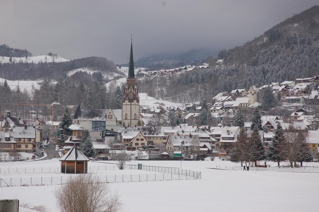 Parkhotel Sonne Schönau im Schwarzwald Kültér fotó